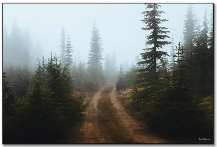 Nature or photography